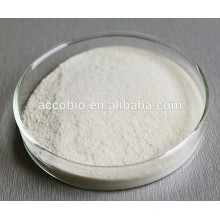 high purity good quality Immune Fuction Agents of Sodium D-pantothenate CAS 867-81-2